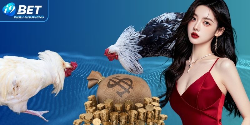 Điểm mạnh nổi bật của sảnh đá gà I9BET