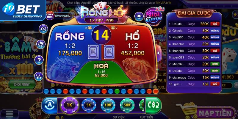 Một số thuật ngữ sử dụng phổ biến khi tham gia cược Rồng Hổ