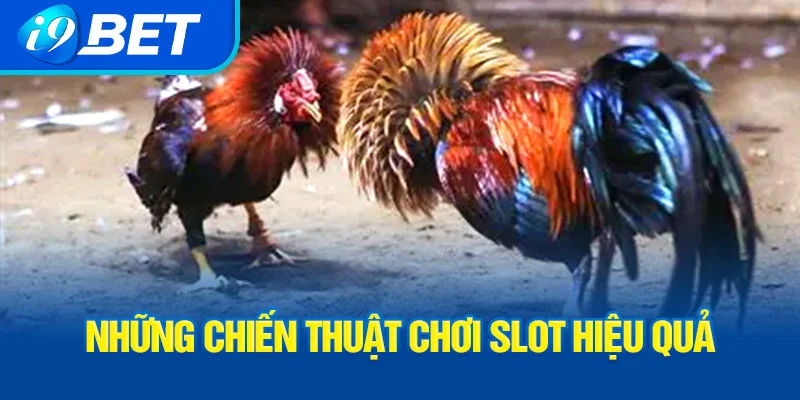 nhung-chien-thuat-choi-slot-hieu-qua