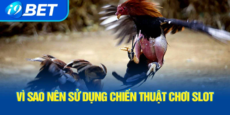 vi-sao-nen-su-dung-chien-thuat-choi-slot